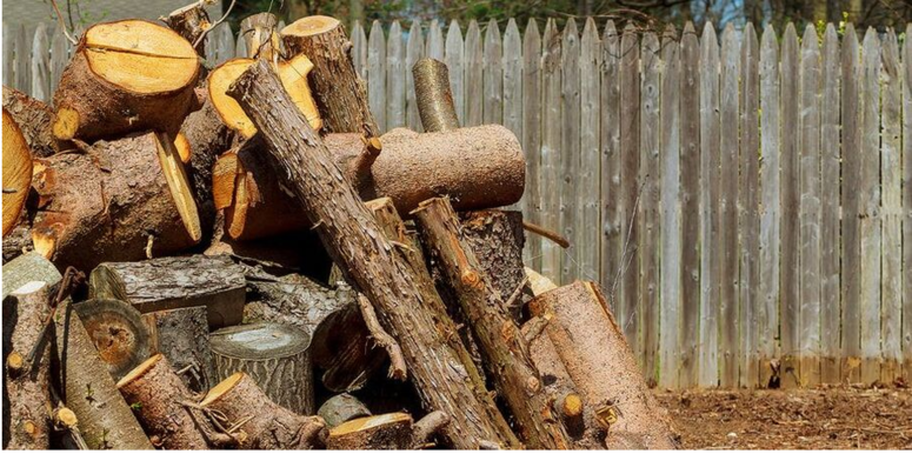 Una pila de madera después de la tala de un árbol en Magog